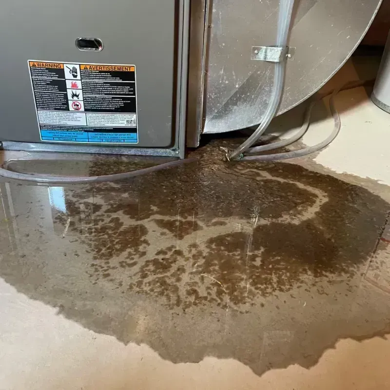 Appliance Leak Cleanup in Lakemoor, IL